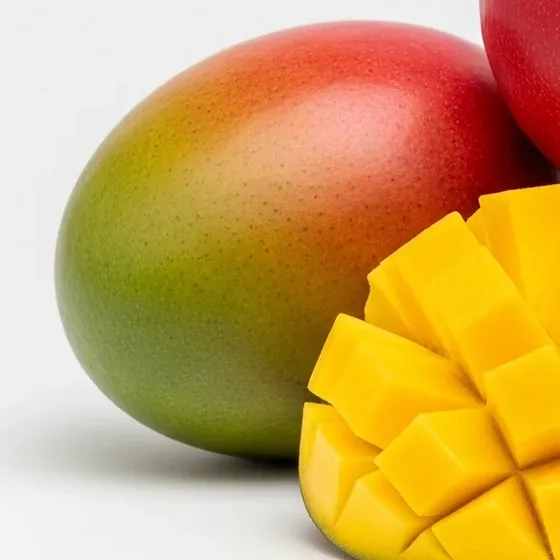 Spesimen Mangga
